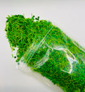 Spring Grass