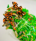 Monarch Butterflies