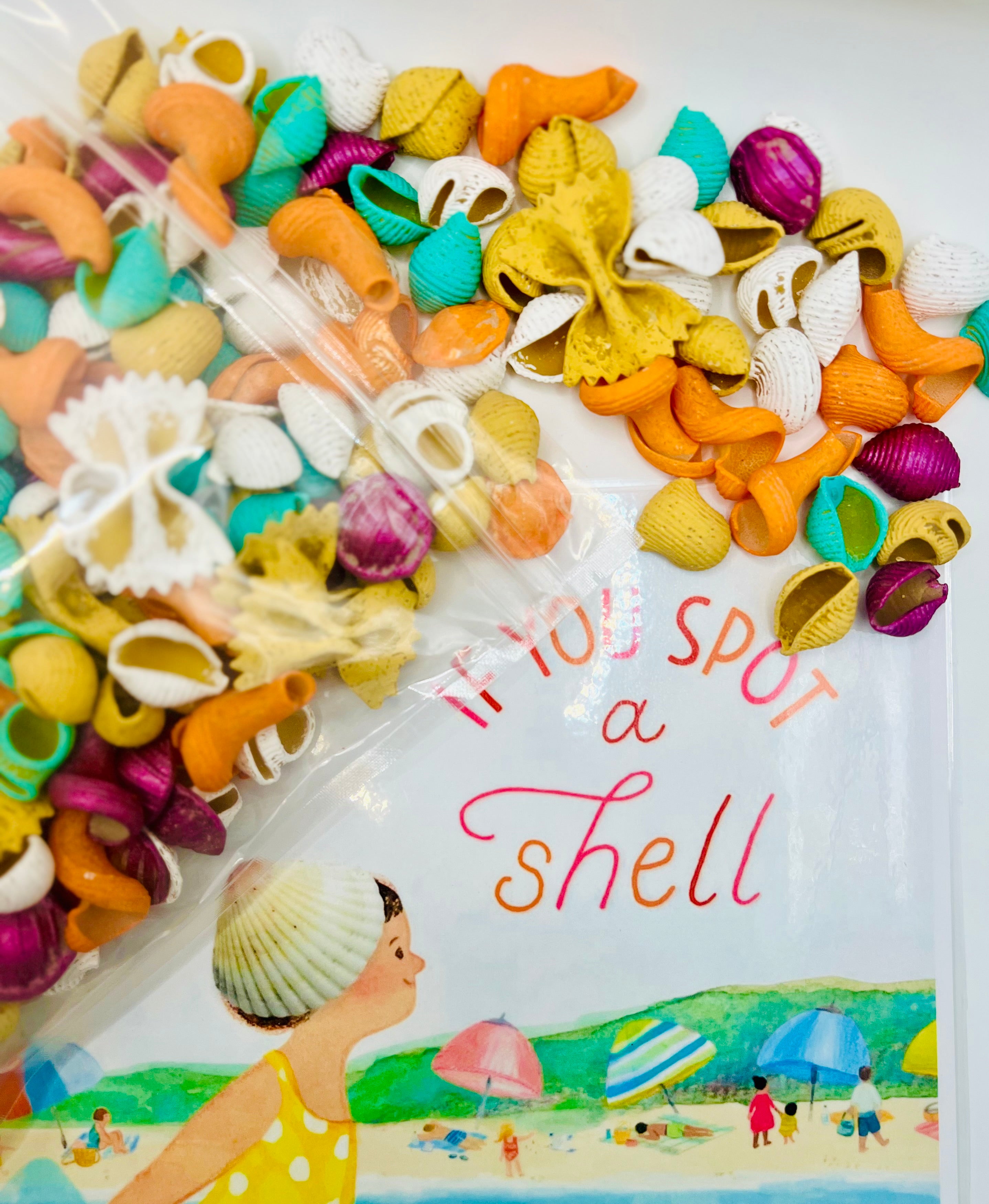Seashore Seashells